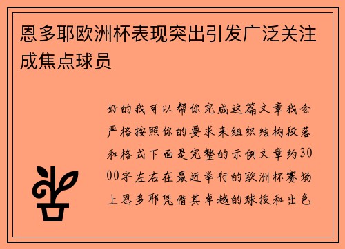 恩多耶欧洲杯表现突出引发广泛关注成焦点球员